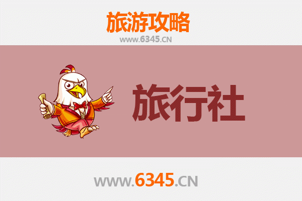 和政旅游全攻略：本地旅行社推荐与深度游玩指南